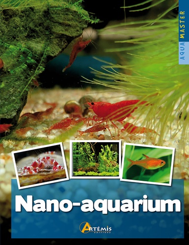 Thierry Maître-Allain - Nano-aquarium.