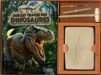 Thierry Olivaux et Annapaola Del Novo - Sur les traces des dinosaures - Coffret avec un squelette de diplodocus à déterrer et à assembler et des outils de fouille archéologiques.