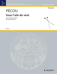 Sous l'aile du vent