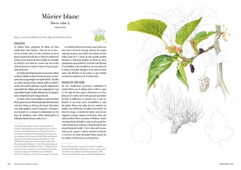 Le chemin des herbes. Du Midi à l'Atlantique, identifier et utiliser 80 plantes sauvages médicinales, alimentaires, tinctoriales