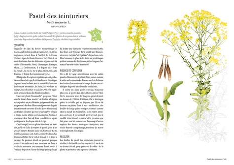 Le chemin des herbes. Du Midi à l'Atlantique, identifier et utiliser 80 plantes sauvages médicinales, alimentaires, tinctoriales