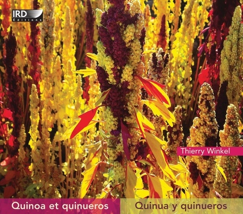 Quinoa et quineros