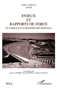 Enjeux Et Rapports De Force