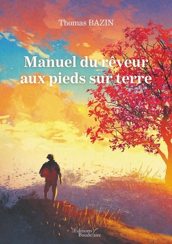 Manuel du rêveur aux pieds sur terre