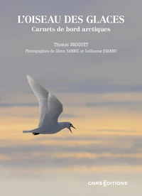 L'oiseau des glaces