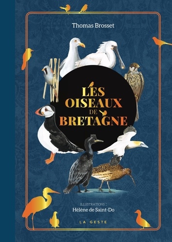 Les oiseaux de Bretagne
