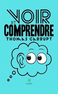 Voir et comprendre