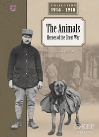 Les animaux, héros de la Grande Guerre