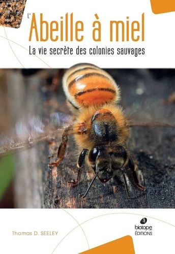L'abeille à miel. La vie secrète des colonies sauvages