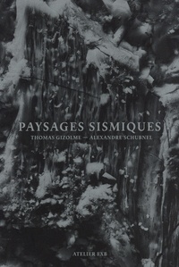 Thomas Gizolme et Alexandre Schubnel - Paysages sismiques.