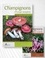 Les champignons d'Europe tempérée. 2 volumes