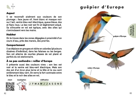 Le petit guide des oiseaux. 70 espèces à découvrir