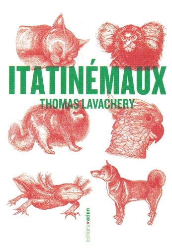 Thomas Lavachery - Itatinémaux.