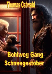 Bohlweg Gang - Schneegestöber