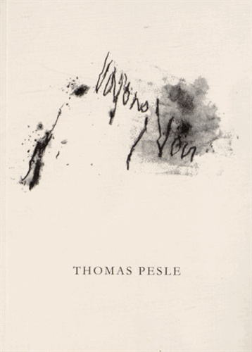 Thomas Pesle - Voyons / Voir.