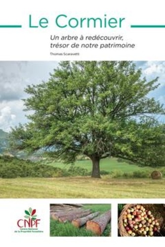 Le Cormier. Un arbre à redécouvrir, trésor de notre patrimoine