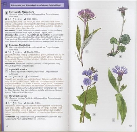 Guide Des Plantes De Montagne Par La Couleur De Thomas Schauer Livre Decitre