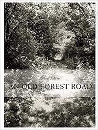 Thomas Zander - An Old Forest Road.