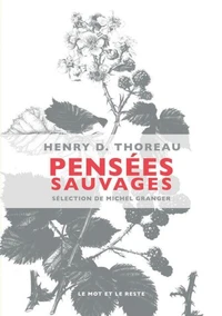 Pensées sauvages