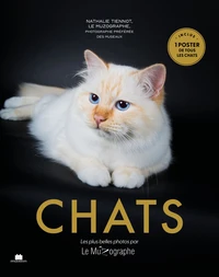 Chats