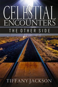 Celestial Encounters: The Other Side