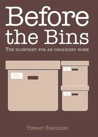 Before the Bins