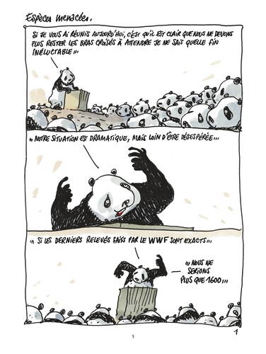 Pandas dans la brume. Dans les forêts de bambous