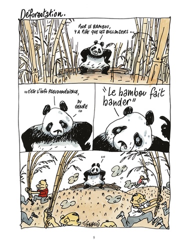 Pandas dans la brume. Dans les forêts de bambous