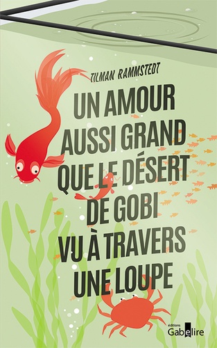 Tilman Rammstedt - Un amour aussi grand que le désert de Gobi vu à travers une loupe.