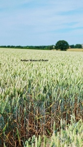  Timothy Avants - Amber Waves of Grain.