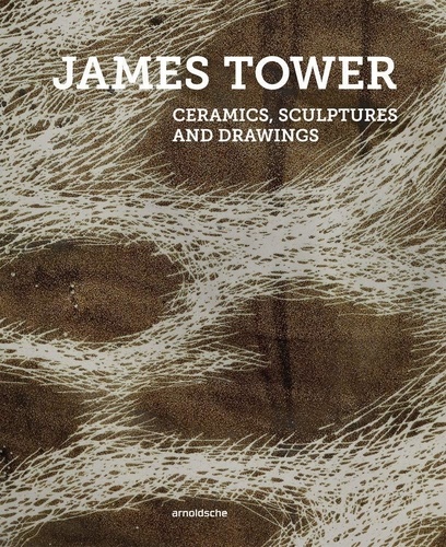 Timothy Wilcox - James Tower - Ceramics, sculptures, drawings.