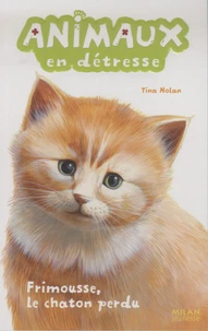 Frimousse, le chaton perdu