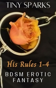  Tiny Sparks - His Rules 1-4 - BDSM Erotic Fantasy.