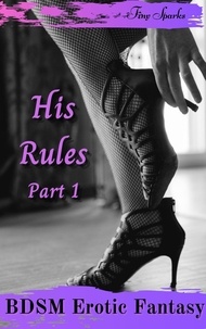  Tiny Sparks - His Rules part 1 - BDSM Erotic Fantasy, #1.