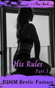  Tiny Sparks - His Rules Part 3 - BDSM Erotic Fantasy, #3.