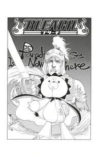 Bleach - T04 - Chapitre 26