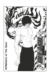 Tite Kubo - Bleach - T05 - Chapitre 39 - Rightarm of The Giant.