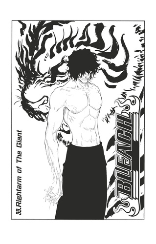 Bleach - T05 - Chapitre 39. Rightarm of The Giant