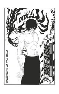 Bleach - T05 - Chapitre 39
