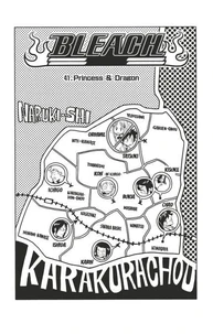 Bleach - T05 - Chapitre 41