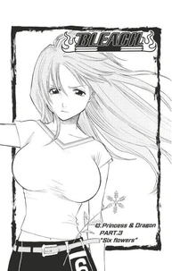 Bleach - T05 - Chapitre 43