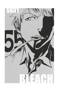 Bleach - T07 - Chapitre 55