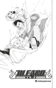 Bleach - T08 - Chapitre 69