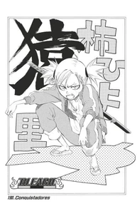 Bleach - T22 - Chapitre 190