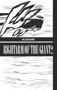 Tite Kubo - Bleach - T29 - Chapitre 260 - RIGHTARM OF THE GIANT2.