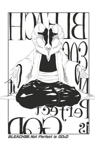 Tite Kubo - Bleach - T35 - Chapitre 306 - Not Perfect is GOoD.