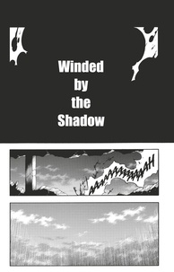 Tite Kubo - Bleach - T66 - Chapitre 597 - WINDED BY THE SHADOW.