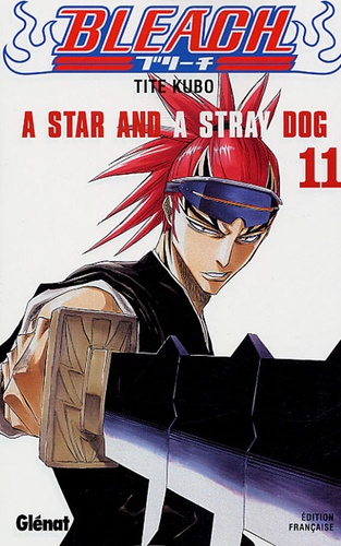 Bleach Tome 11 A Star and a Stray Dog