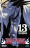 Bleach Tome 13 The Undead