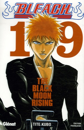 Bleach Tome 19 The Black Moon Rising